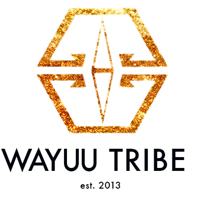 WAYUU TRIBE STORE  logo